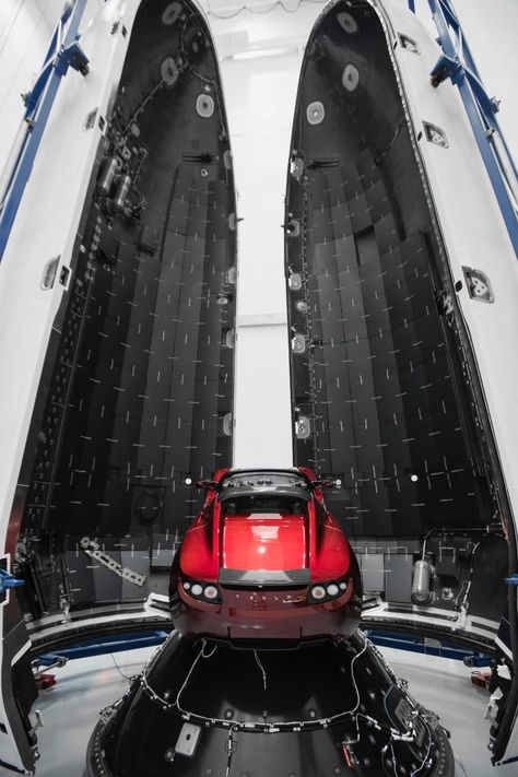 Space X Elon Musk, Spacex Falcon Heavy, Elon Musk Spacex, Earth People, Spacex Rocket, Elon Musk Tesla, Spacex Launch, Falcon Heavy, Space X