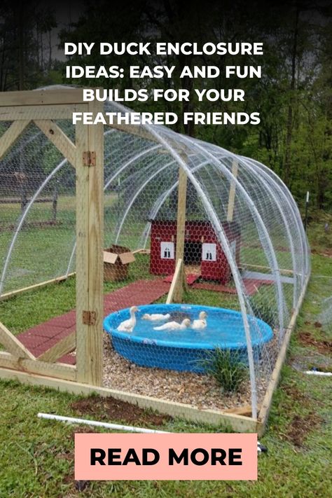 A homemade duck enclosure with a wooden frame and wire mesh, featuring a small pond and a red duck house amidst a grassy backyard. Runner Duck Enclosure, Duck Coop Ideas Diy Building, Goose Enclosure, Backyard Ducks Habitat, Duck Backyard, Easy Duck Coop, Diy Duck Enclosure Ideas, Diy Duck Run, Duck Pen Ideas