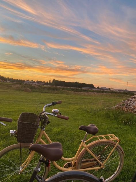 Bike Ride Aesthetic, Ride Aesthetic, Bike Aesthetic, Bike Ride, Cycling, Bike, Film