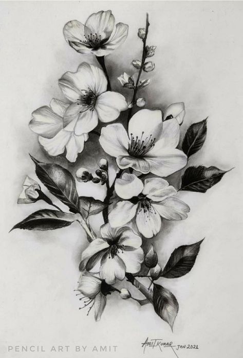 Cherry Flower Tattoo Design, Realistic Flowers Tattoo, Cherry Blossom Flowers Tattoo, Sakura Flower Tattoo Design, Realistic Floral Tattoo, Cherry Flower Tattoo, Sakura Tattoo Design, Sakura Flower Tattoo, Cherry Blossom Tattoo Design