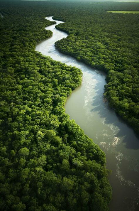 Aerial view of the Amazonas jungle landscape with river bend. Generative AI River Aerial View, Jungle Landscape Photography, Landscape With River, Jungle Landscape, River View, Amazon River, Tree Saw, Cityscape Photos, Nature Backgrounds