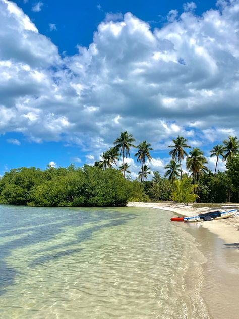 Beach in Puerto Rico, there’s big bushes and palm trees. Cabo Rojo Puerto Rico Beach, Puerto Rico Cabo Rojo, Puerto Rico Vacation Aesthetic, Puerto Rico Aesthetic Pictures, Puerto Rico Nature, Flamenco Beach Puerto Rico, Puerto Rico Wallpaper, Vacation Puerto Rico, Puerto Rico Aesthetic