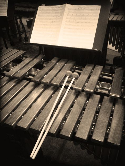 other side of drumming Percussion Instruments Aesthetic, Xylophone Aesthetic, Marimba Aesthetic, Percussion Aesthetic, Musical Academia, Orff Schulwerk, Old Musical Instruments, Band Jokes, Voice Lesson