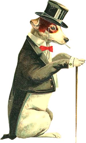 Vintage Animals, Victorian Scrap, Circus Animals, Clip Art Vintage, Vintage Circus, Photo Vintage, Weird Pictures, Dog Illustration, Vintage Dog