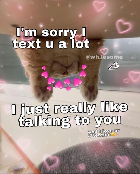 @wh.lesome on instagram  “ I’m sorry I text u a lot I just really like talking to you and I love ur attention 🥺 “ #wholesomeme #wholesomememes #wholesomememe #cats Wholesome Pictures, Couple Memes, Dorm Bedroom, Cute Texts For Him, Buku Skrap, Cute Messages, Funny Reaction Pictures, Cute Memes, Wholesome Memes