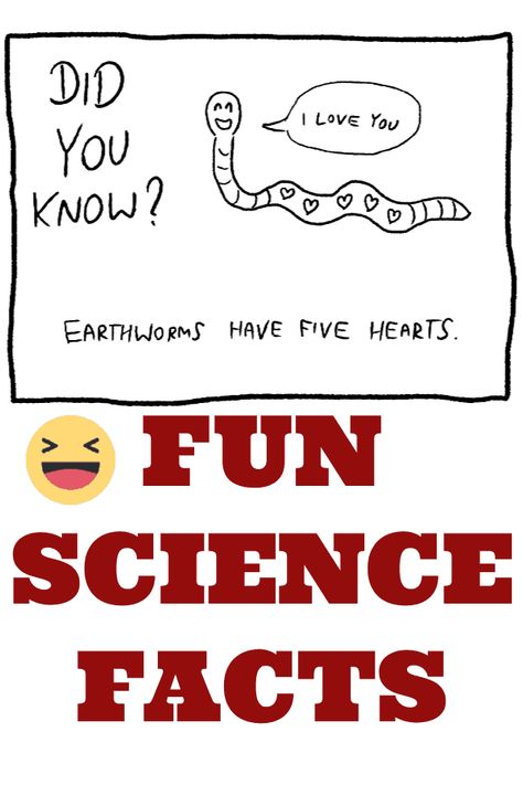 Lots of fun science facts for kids. Did you know water freezes faster when it's warm not cold and humans have 206 bones? Wallpaper Biology, Fun Science Facts, Science Wallpaper, Science Experiments Kids Preschool, Science Experiments Kids Elementary, Science Experiments Kids Easy, Science Aesthetic, Facts Science, Science Trivia