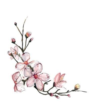 1000+ ideas about Cherry Blossom Tattoos on Pinterest | Blossom ... Tattoo Cherry, Wildflowers Tattoo, Tattoo Foot, Super Tattoo, Instagram Decor, Výtvarné Reference, Geniale Tattoos, Blossom Tattoo, Cherry Blossom Tattoo