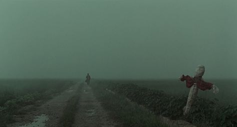 Bong Joon Ho, Peter Weir, Films To Watch, Beautiful Cinematography, Song Kang Ho, West Coast Of Ireland, Movie Aesthetic, Best Cinematography, Movie Shots