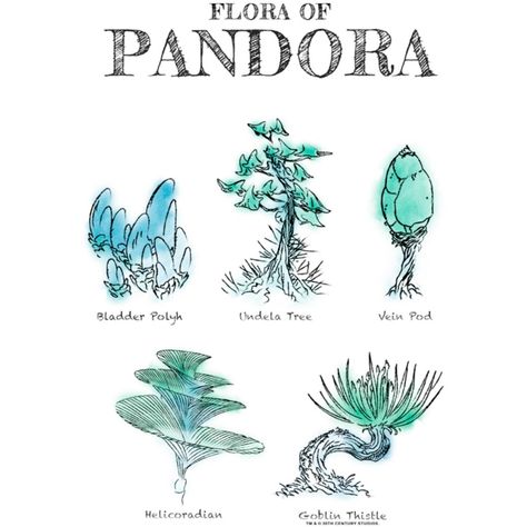 Journey to the beautiful world of Pandora with the beloved and visually stunning film Avatar as Jake Sully and Neytiri fall in love and battle for the survival of the planet with your new officially licensed apparel for the whole family! This new Women's Avatar Flora of Pandora Sketches Graphic T-Shirt features cool sketches of the interesting flora of Pandora like the bladder polyh, undela tree, vein pod, helicoradian, and goblin thistle. Join in on the adventure with your new graphic apparel t Jake Sully And Neytiri, World Of Pandora, Avatar Animals, Avatar Tattoo, Jake Sully, Blue Avatar, Avatar James Cameron, Avatar Films, Avatar Picture