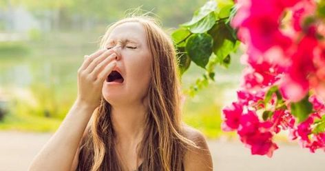 Do your seasonal allergies cause "brain fog?" Whatever is causing the reactions, experts advise that controlling symptoms is the only way to cut through the fog. Seasonal Allergy Symptoms, Fever Symptoms, Spring Allergies, Allergy Season, Hay Fever, Allergy Asthma, Pollen Allergies, Itchy Eyes, Allergy Relief