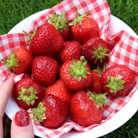 Strawberry Summer, Strawberry Fruit, Cute Strawberry, Red Strawberry, Strawberry Fields, Strawberry Milk, Strawberry Shortcake, Cute Food, Red Nails