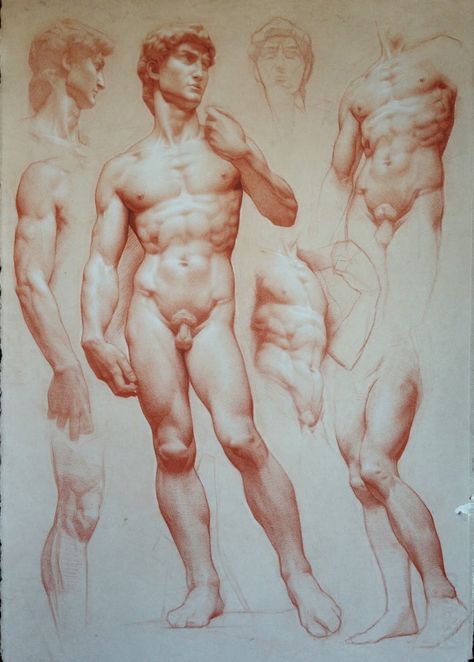 GCA Blog: Drawing from the Past: Michelangelo and the Antique Rennaissance Art, Master Drawing, Academic Art, Anatomy Sketches, Drawing Studies, Figure Drawing Reference, Guy Drawing, Anatomy Reference, Naha