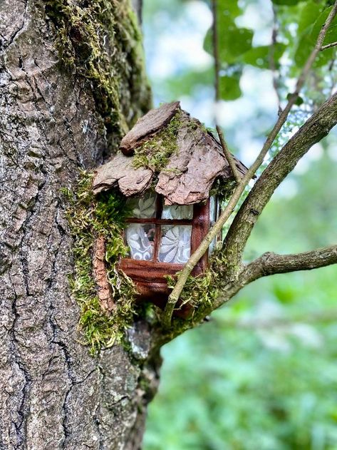 Tree Fairy Garden, Tree Fairy, Fairy Tree Houses, Jardim Diy, Fairy House Diy, Fairy Home, Fairy Garden Crafts, Fairy Garden Designs, Faeries Gardens