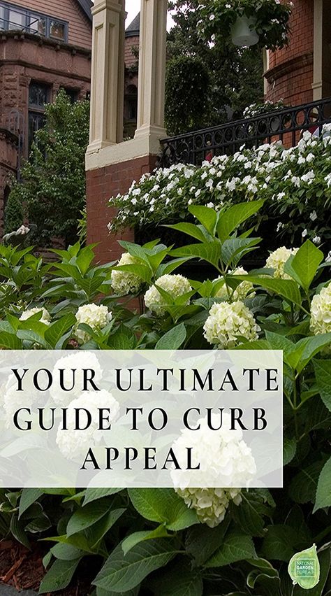 You’ve heard about the importance of curb appeal, and maybe you’ve tuned into TV shows that flipped sad-looking properties into dreamy, darling aspirational homes. But what’s involved with creating curb appeal? We’ll show you how to make your front yard look its best with ideas for designing an alluring, welcoming garden space. Curb Appeal Garden, Front Yard Flowers, Landscape Ideas Front Yard Curb Appeal, Front Yards Curb Appeal, Garden Fun, Front Yard Design, Front Landscaping, Gardening Advice, Evergreen Shrubs