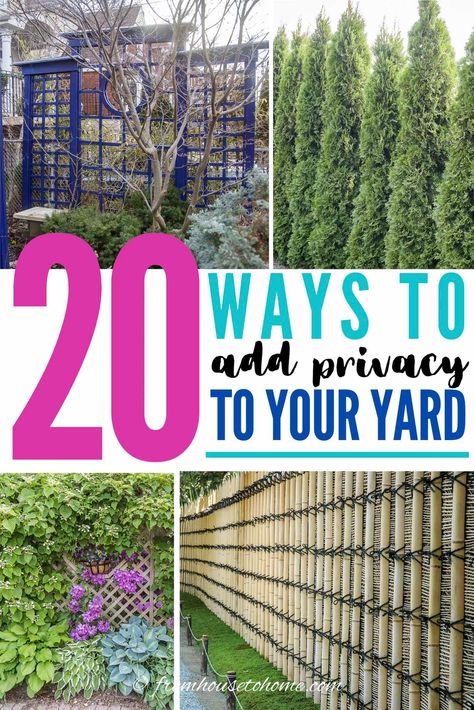 Great outdoor privacy screen ideas! I love the DIY trellises and garden screens that look great in your landscaping and help to make your yard more private. #fromhousetohome #gardenprivacy  #gardendesign #gardenstructures #gardening #gardeningideas Garden Privacy Ideas Cheap, Yard Privacy Ideas, Garden Screening Ideas, Backyard Privacy Ideas, Privacy Trellis, Backyard Plans, Yard Privacy, Garden Screens, Privacy Ideas