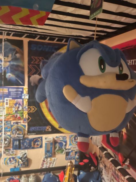 Sonic Room, Sonic Plushies, Sonic Bedroom, Sonic Merch, Sonic Collection, Sonamy Comic, Speed Of Sound, Sonic Funny, Sonic 3