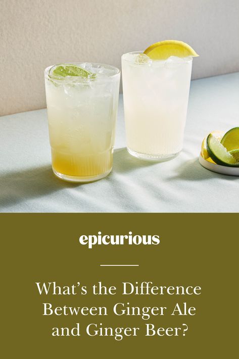 Both ginger beer and ginger ale are known for their ability to shine in cocktails and on their own. They each have a rightful place behind the bar and have the potential to impart a range of ginger flavors, from delicate to abrasive. But there are distinct differences between these two fizzy ginger drinks, primarily in how they're made. Here are all the differences between ginger ale and ginger beer. Ginger Beer Cocktail Recipes, Ginger Drinks, Penicillin Cocktail, Ginger Beer Drinks, Beer Pack, Beer Cocktail Recipes, Ginger Beer Cocktail, Ginger Bug, Beer Cocktail