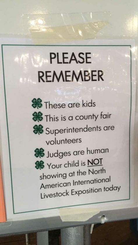 4-H 4h Fair Memes, 4h Leader Ideas, Fair Week 4-h Quotes, Buyers Letters For Fair For 4h, 4h Buyers Gift Ideas, 4 H Poster Ideas, 4 H Project Ideas, 4-h Poster Ideas, 4h Fair