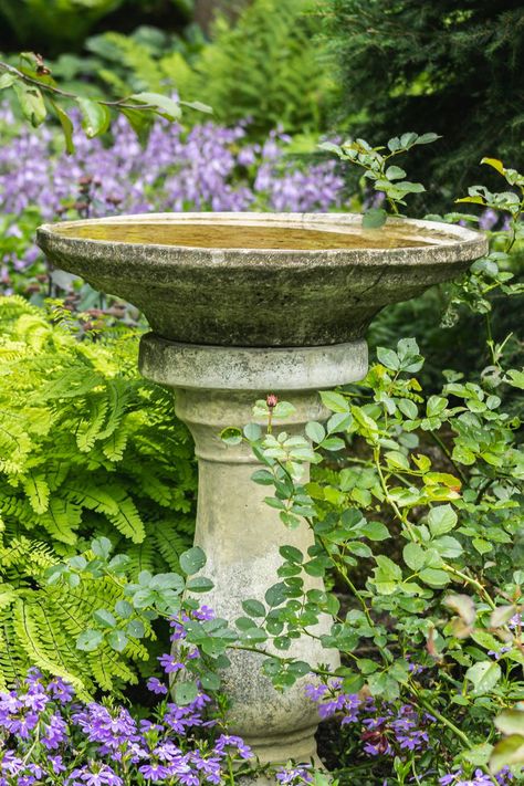 Garden Ideas Plants, Curtains Black And White, Black And White Curtains, Large Bird Baths, Birdbath Garden, Stone Bird Baths, Bird Fountain, Concrete Bird Bath, Print Curtains