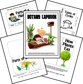 Free Botany Lapbook Homeschool Botany, Plant Lap Book, Classical Homeschooling, Lapbook Ideas, Nature Studies, Plants Unit, Science Camp, Lap Book, My Father's World