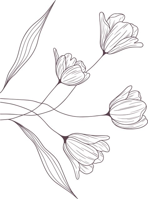 Background Designs For Drawings, Flower Line Drawing Pattern, Soft Pastel Background, Line Drawing Flower, Outline Flowers, Flowers Doodles, Line Flowers, Graphic Flowers, Background With Flowers