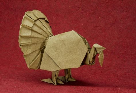 John Szinger's Amazing Origami Animal Sculptures: Breaking It Down Thanksgiving Origami, Origami Bird Easy, Origami Instructions For Kids, Origami Turkey, Thanksgiving Is Coming, Paper Turkey, Origami Animal, Origami Paper Folding, Origami For Beginners