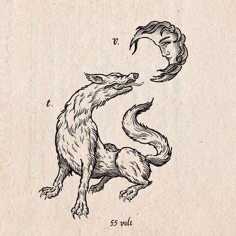 Woodcut Fox Tattoo, Sphynx Tattoo Greek, Medieval Dog Illustration, Wolf Etching, Medieval Woodcut Art, Medieval Woodcut Tattoo, Cryptid Tattoo, Medieval Woodcut, Medieval Animals