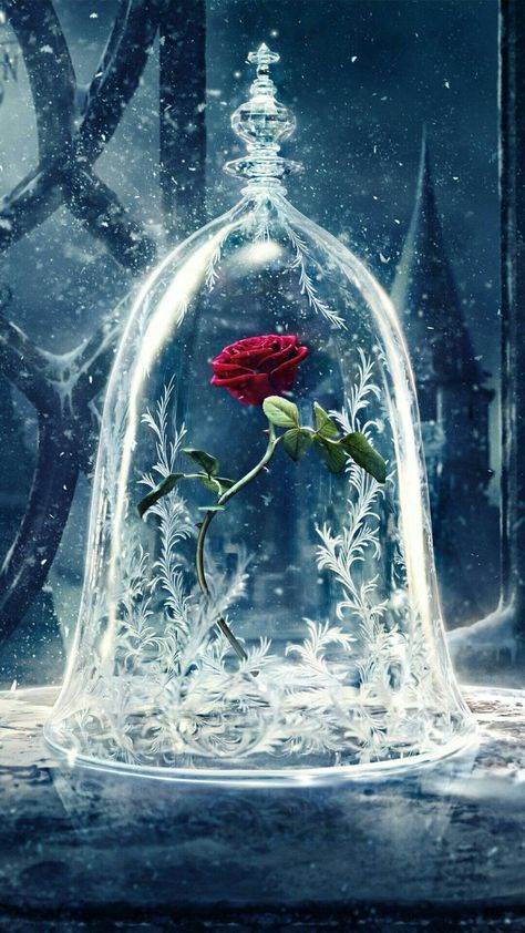 Bella Disney, Beauty And The Beast Wallpaper, Foto Disney, Image Princesse Disney, Wallpaper Iphone Disney Princess, Beast Wallpaper, Disney Belle, Prințese Disney, Images Disney