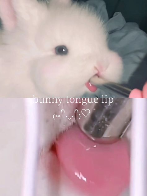 Cruelty Free Bunny Tongue Lip Gloss| The Perfect Pink Lip - Bunny Tongue Lipgloss, Bunny Tounge Gloss, Lip Care For Pink Lips, Bunny Toung Lipstick, Bunny Lips Makeup, Bunny Tongue Lip, How To Make Your Lips Pink, Bunny Tongue Lip Gloss, Lip Gloss Tips