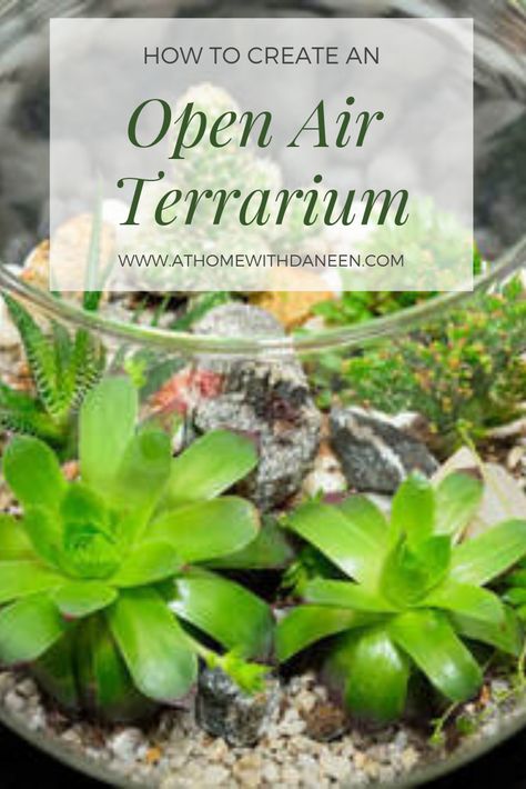 Terrariums Diy, Dish Gardens, Build A Terrarium, Unique Terrarium, Open Terrariums, Cactus Terrarium, Terrarium Jar, Diy Succulent Terrarium, Succulent Garden Indoor