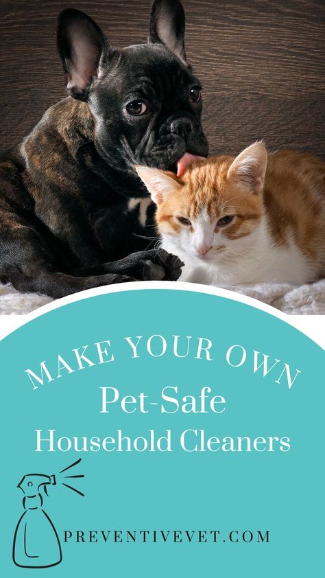 Cute French bulldog puppy licking a ginger and white cat with text that reads "Make Your Own Pet-Safe Household Cleaners" linked to preventivevet.com Pet Safe Cleaner Diy, Diy Pet Cleaner, Diy Pet Friendly Floor Cleaner, Pet Safe Floor Cleaner Diy, Pet Friendly Floor Cleaner, Pet Friendly Cleaning Products, Pet Safe Cleaning Products, Pet Safe Floor Cleaner, Dog Friendly Flooring