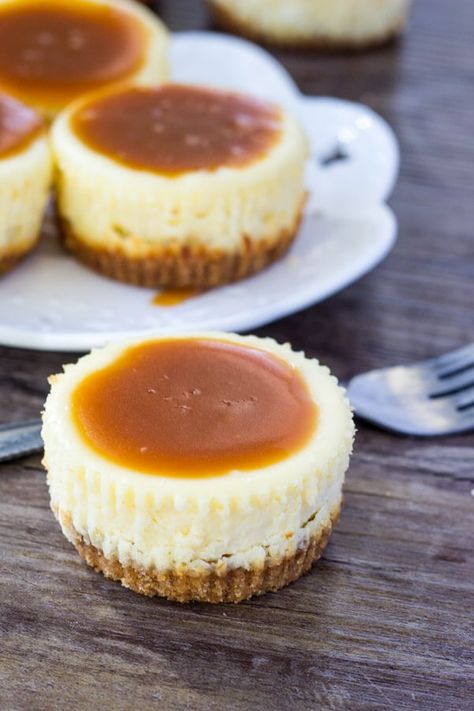 Caramel Cheesecake Bites, Cheesecake Caramel, Gingerbread Cheesecake, Biscuits Graham, Mini Cheesecake Recipes, Salted Caramel Cheesecake, Cheesecake Toppings, Caramel Recipes Sauce, Caramel Cheesecake