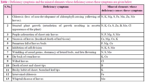 Mineral Nutrition In Plants Notes, Nutrition Biology Notes, Plant Growth And Development Notes, Methods To Study, Nutrition In Plants, Mineral Nutrition, Nitrogen Fixation, Nitrogen Cycle, Plant Notes