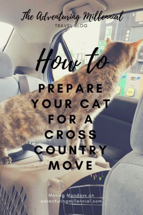 Moving Across Country Tips, Moving With Cats, Cross Country Moving, Moving Across Country, Moving House Tips, Moving Hacks, Moving Hacks Packing, Cross County, Military Move