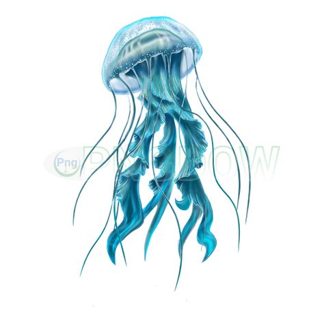 Jellyfish Png, Png Transparent Background, Png Transparent, Jellyfish, Transparent Png, Lorem Ipsum, Game Art, Png Images, Background Images