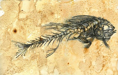 By Jo Sheppard Natural Forms Gcse, Marine Life Artists, Geology Art, Fossil Art, Silhouette Sketch, Sea Life Art, Fish Fossil, Marine Art, Past Papers