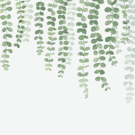 Collection of hand drawn plants isolated on white background Ipad Wallpaper Aesthetic Horizontal Boho, Boho Macbook Wallpaper Horizontal, Eucalyptus Background Wallpapers, Plant Astethic Wallpaper, Macbook Wallpaper High Quality Minimalist, Chrome Book Wallpapers Aesthetic, Computers Background, Cute Plant Wallpaper, Best Laptop Wallpapers