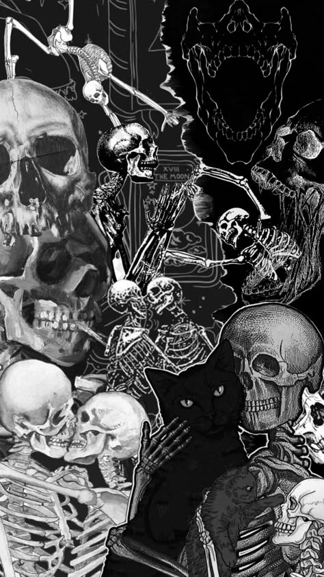 #skeleton Skeleton Asthetic Picture, Skeleton Art Wallpaper, Edgy Collage, Aethstetic Wallpapers, Skull Artwork Illustrations, Skeletons Wallpaper Aesthetic, Gothic Things, Collage Backgrounds, Y2k Goth