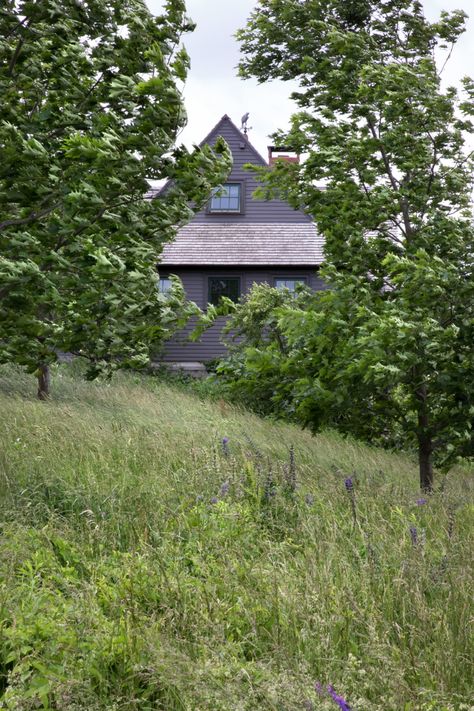 Colonial Landscaping, Terraced Landscape, Michigan Landscaping, New England Farm, New England Garden, New England Aesthetic, Trees For Front Yard, Cottage Lake, Historic New England