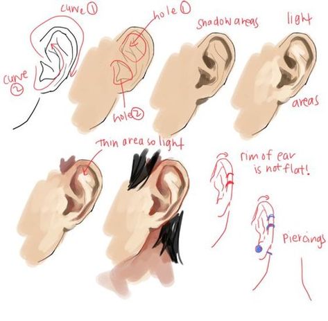 How To Draw Ears, Digital Art Beginner, Coloring Tutorial, Digital Painting Tutorials, Anatomy Reference, Anime Drawings Tutorials, Anatomy Art, Drawing Tutorials, Art Tutorials Drawing