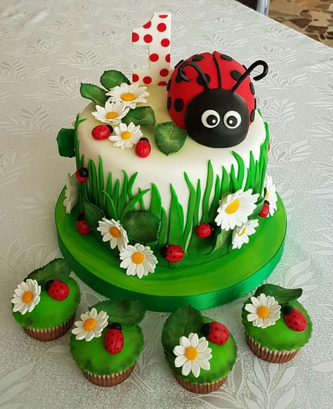 Lady Bug Cake @reginabron Ladybug Cake Decoration, Lady Bird Birthday Cake, Ladybug Themed Cake, Ladybird Cake Ideas, Ladybug Smash Cake Ideas, Ladybird Birthday Cake, Lady Bird Cake, Birthday Cake Ladybug, Lady Buggy Cake