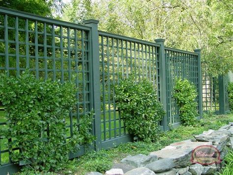 Lattice Fencing is a great way to dress up your front or backyard. It comes in wood, plastic and even metal. Enjoy the gallery! Trellis Fence, Deer Fence, Green Fence, Bluestone Patio, Lattice Fence, Garden Vines, Walled Garden, Fence Landscaping, Backyard Fences