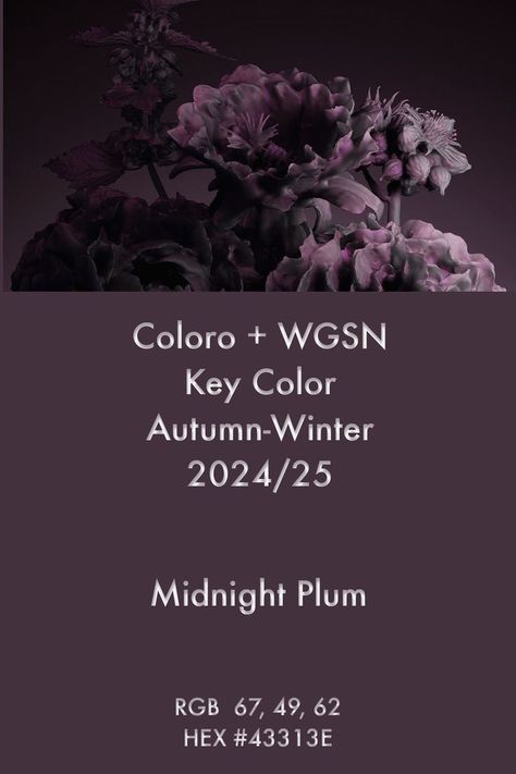 2024 Color Trends Forecast, Wgsn Aw24/25, Color Forecast 2023 2024, Fw 2024 Color Trends, Pantone 2024 Color Trends Fashion Winter, Midnight Plum Color, Pantone Colour 2024, Midnight Plum Fashion, Color Forecast 2024/2025