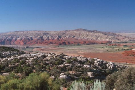 Red and white cliffs above the Bighorn River, Big Horn Canyon National Recreation Area. NPS photo. Winter Deserts, Deserts Of The World, Black Rock Desert, Desert Area, Great Basin, Desert Plants, Nature Images, Horseshoe Bend, The Desert