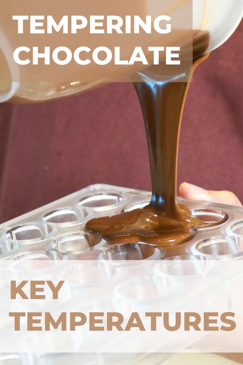 Tempering Chocolate Temperatures, Tempering Chocolate Chips, Tempering White Chocolate, How To Flavor Chocolate, Tempering Chocolate Tutorials, Gourmet Dessert Recipes, Modeling Chocolate Recipes, Homemade Milk Chocolate, Tempering Chocolate