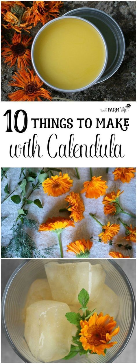 Herbology Recipes, Summer Foraging, Calendula Tincture, Herbalist Recipes, Herbal Diy, Survival Projects, Witches Garden, Tinctures Recipes, Calendula Salve