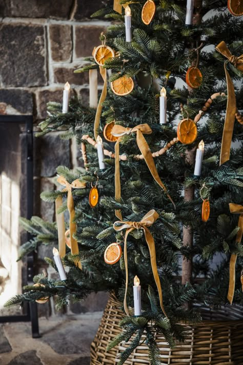 Dried orange slices: a Little Women inspired Christmas. - dress cori lynn Different Christmas Decor Aesthetics, Popcorn And Cranberry Garland Tree Orange Slices, Dried Orange Christmas Tree Decorations, Christmas Tree Ideas Nature Theme, Live Christmas Tree Decorations, Christmas Tree Ideas Orange Slices, Mustard Yellow Christmas Tree, Christmas Tree Dried Fruit, Citrus Garland Christmas Tree