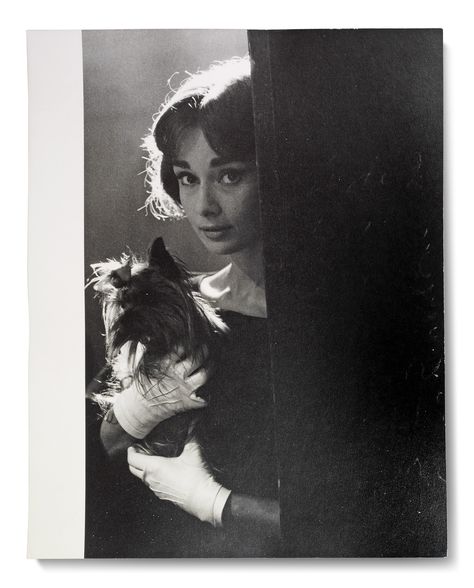 LOVE IN THE AFTERNOON, 1957 SAM SHAW (1912-1999) Audrey Hepburn and Mr. Famous on the set of the 1957 Allied Artists production Love in the Afternoon, Paris, 1957 Audrey Hepburn Sons, Audrey Hepburn Born, Audrey Hepburn Poster, Aubrey Hepburn, Audrey Hepburn Photos, Norma Jeane, Golden Age Of Hollywood, Vintage Hollywood, Audrey Hepburn