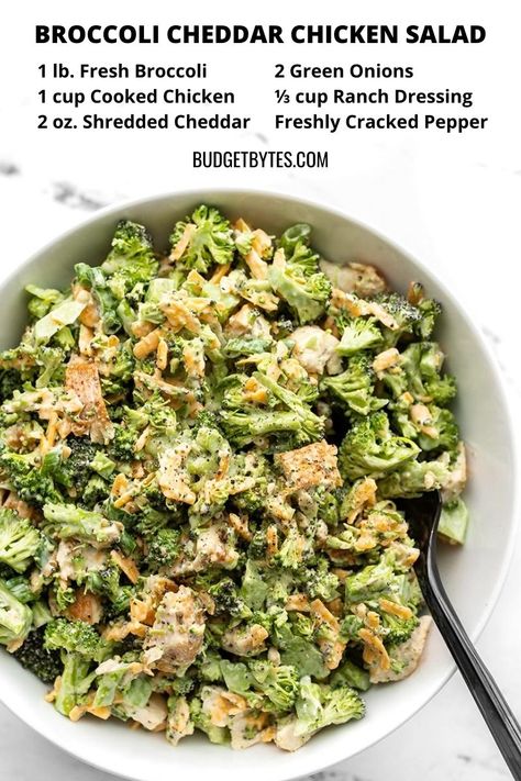 Broccoli And Chicken, Broccoli Cheddar Chicken, Broccoli Chicken, Cheddar Chicken, Budget Bytes, Best Pasta Salad, Cold Lunches, Easy Healthy Lunches, Veggie Pizza