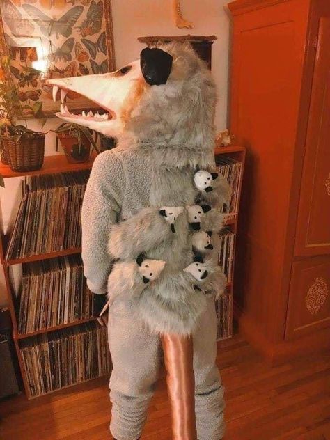 Raccoon Costume, Perfect Halloween Costume, Awesome Possum, Creative Halloween Costumes, Funny Halloween Costumes, Cool Halloween Costumes, Couple Halloween Costumes, Best Cosplay, Single Mom